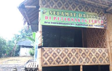 MADU DESA UNDRUS BINANGUN