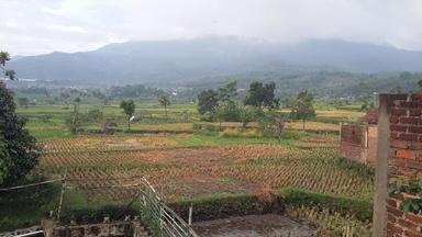 MIE BASO HEGARSARI