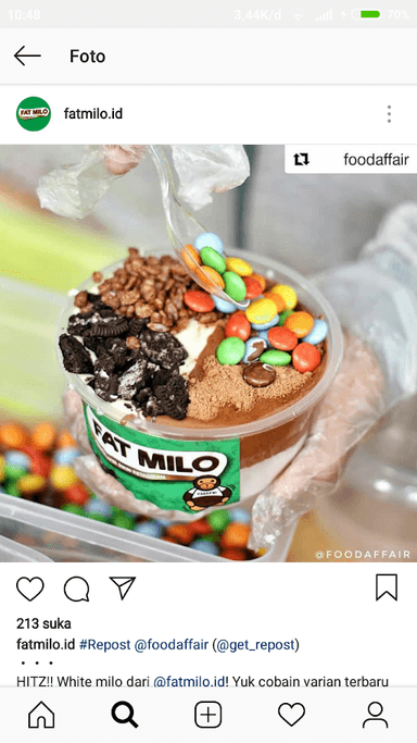 FAT MILO TAMAN PALEM