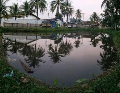 KOLAM IKAN PAMOKOLAN