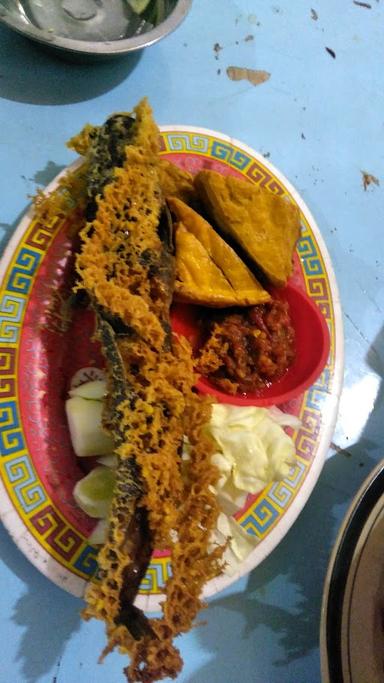 PECEL LELE NASI GORENG CIPLUK