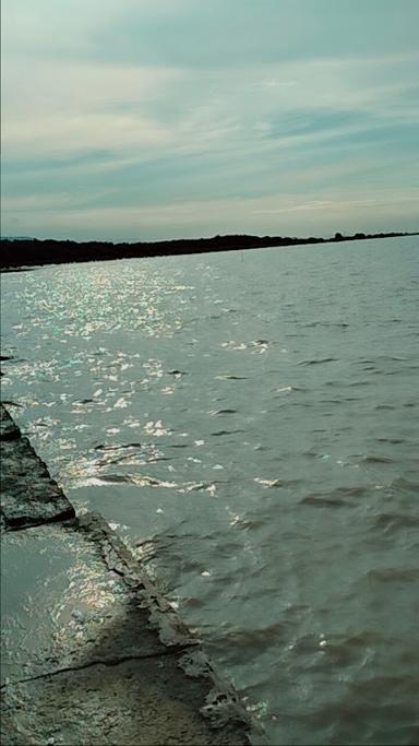 TAMAN WISATA MANGROVE PANTAI GOPE KARANGANTU BANTEN