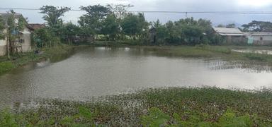 PEMANCINGAN IKAN MAS & IKAN BAKAR