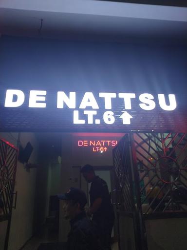 DE NATTSU