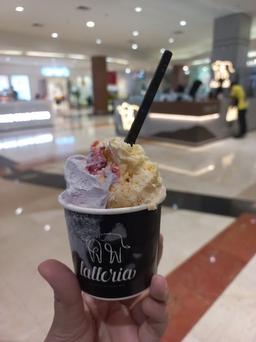 LATTERIA GELATO, PIM 2