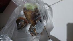 Photo's Nasi Bebek Madura, Cak Arzuq, Barokah