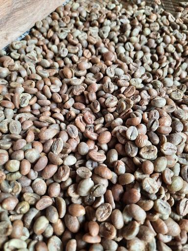 JUAL BELI KOPI ROBUSTA DAN ARABIKA, ROASTING DAN BUBUK ASLI