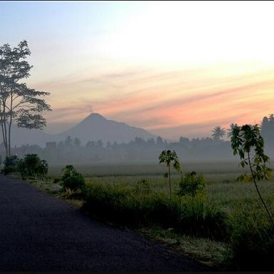 TONGKRONGAN NGOPI