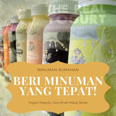 THE REAL YOGURT - PAPAJO ( VILLA RIZKI ILHAMI)