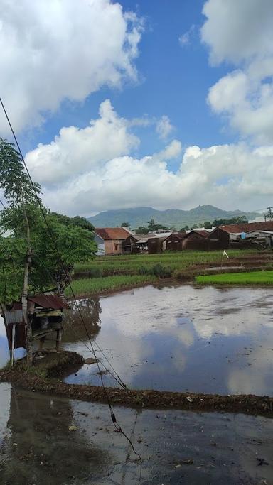 MIE AYAM SAMBUNG OYOT