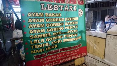 AYAM PENYET TANJAKAN IBU INA