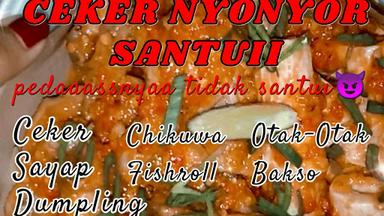 CEKER NYONYOR SANTUI