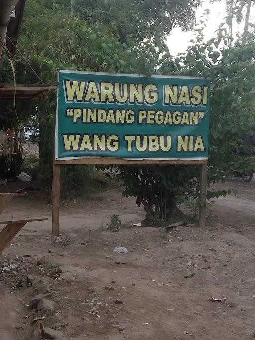 WARUNG NASI PINDANG PEGAGAN