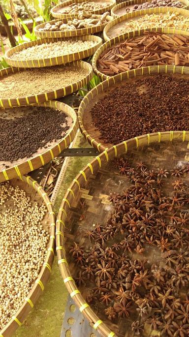 ALAM BALI AGROWISATA - BALI KOPI LUWAK