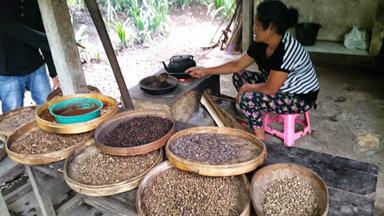 ALAM BALI AGROWISATA - BALI KOPI LUWAK