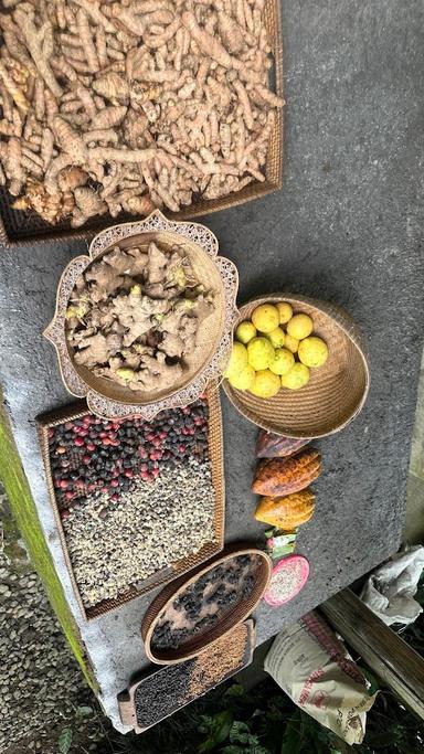 ALAM BALI AGROWISATA - BALI KOPI LUWAK