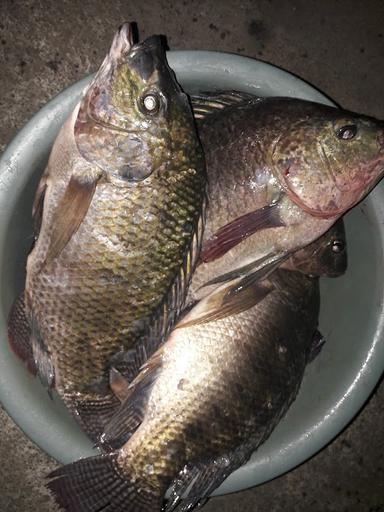 WARUNG POJOK MERTA NADI