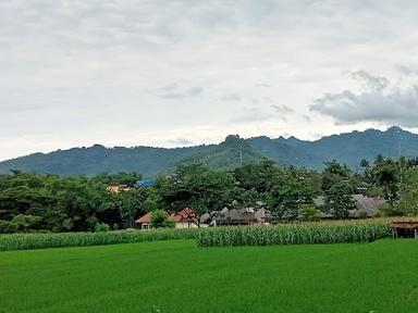 PEMANCINGAN LELE HARIANJA JALINAN