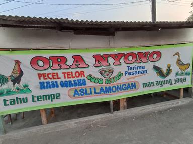 PECEL LELE ORA NYONO LAMONGAN