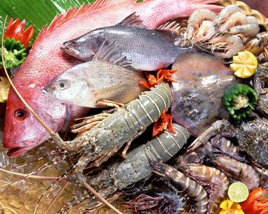 JUAL IKAN LAUT DAN TAWAR SEGAR