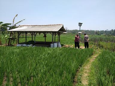 SAWAH SIDUGAL