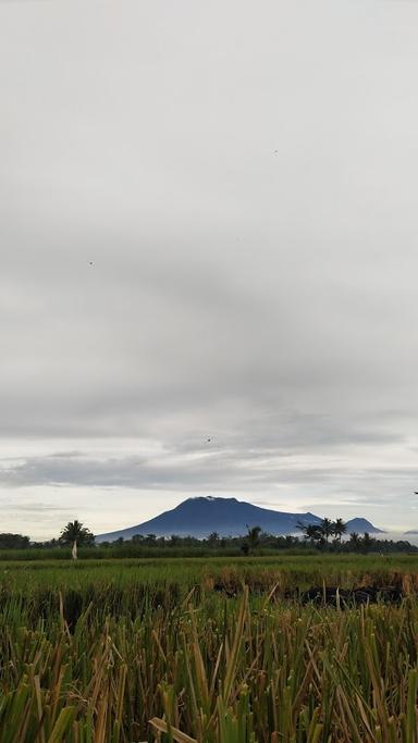 AGUNG BAYU PAMUNGKAS