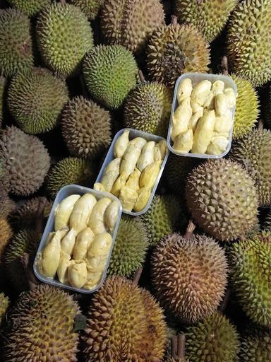 MBURAK DURIAN