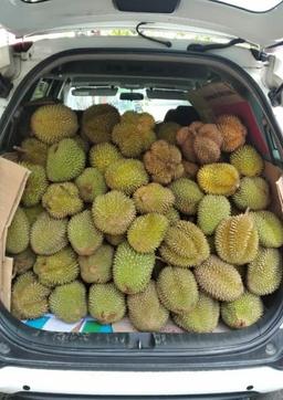 Photo's Bandar Durian Solo