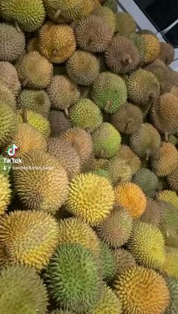 Photo's Bandar Durian Solo