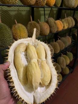 Photo's Bandar Durian Solo