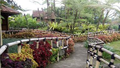 TONGSENG IGA BAKAR FLOATING MARKET LEMBANG