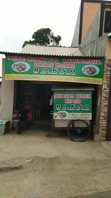 MIE BAKSO MUNCUL MAS DAR