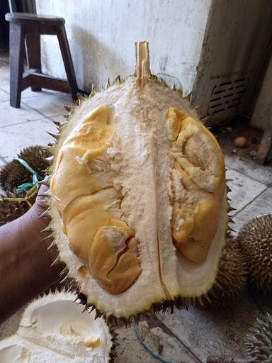 MARTABAK KUBANG INDAH