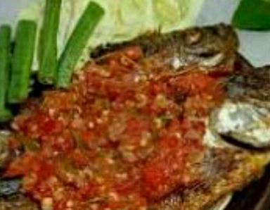 AYAM GECEK SAMBEL JINGKRAK