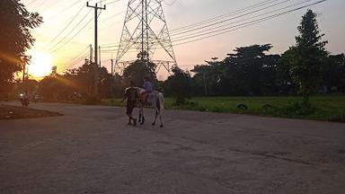 KETUPAT PADANG