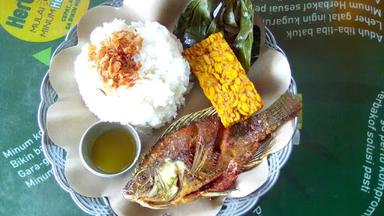 AYAM & BEBEK GORENG MELAYU