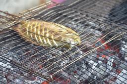 Photo's Ikan Bakar Tongkang 3