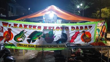 KAKEKS KELONG DARAT