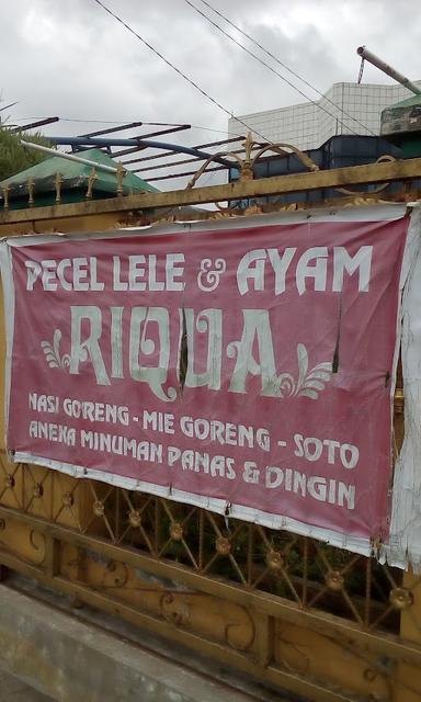 PECEL LELE & AYAM AALRIQUA