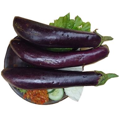 SAMBEL NITIJEN