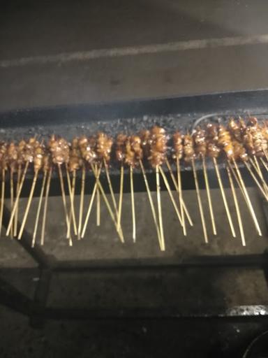 SATE MANGGALA