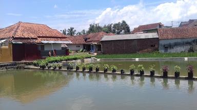 WARUNG KOPI KALAPADUA