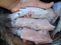 Photo's Mbak Mudah Online Fish & Seafood