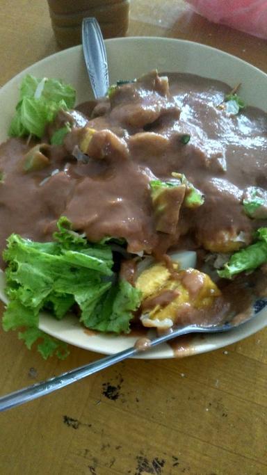 GADO GADO