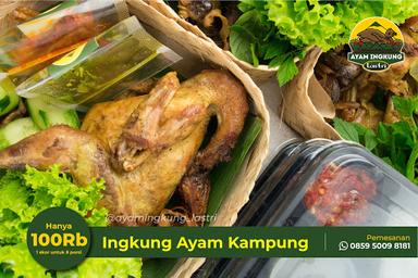 AYAM INGKUNG LASTRI