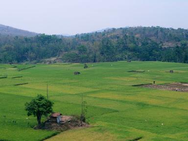 WARUNG KAKINE