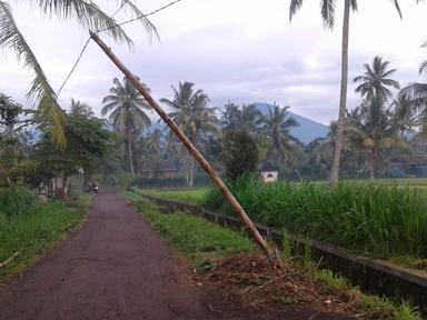 WARUNG KOPI