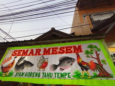 PECEL LELE SEMAR MESEM