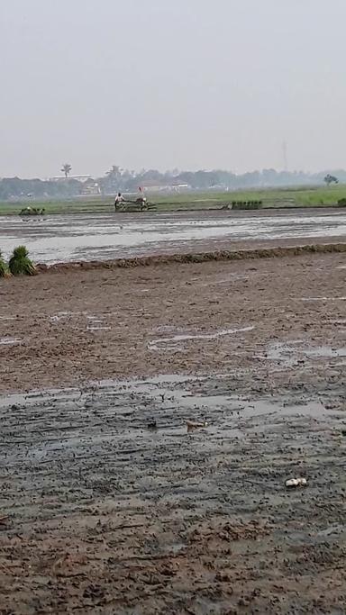 NASI UDUK BI BIYAH MANG HUSEIN