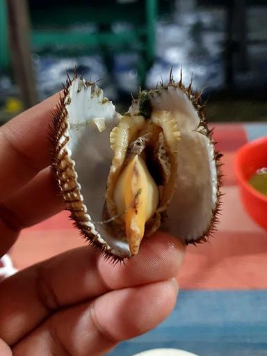 KERANG REBUS MURNI